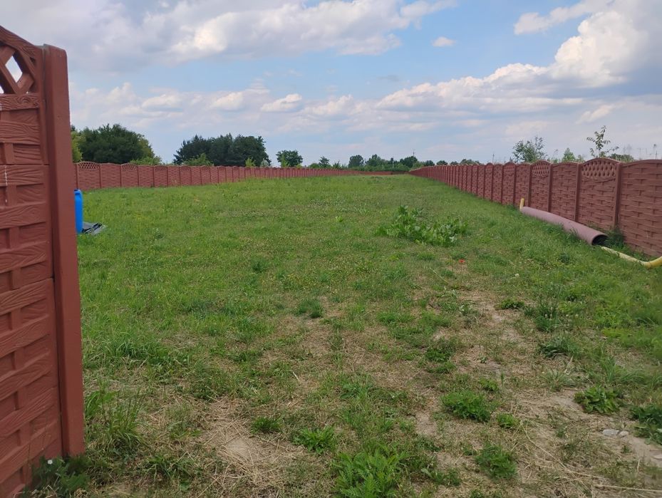 Nawiąże  współprace  z inwestorem i firmą budowlaną