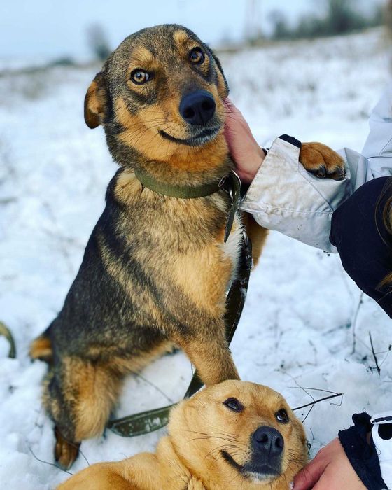 Две невероятных девочки ищут самых лучших родителей!