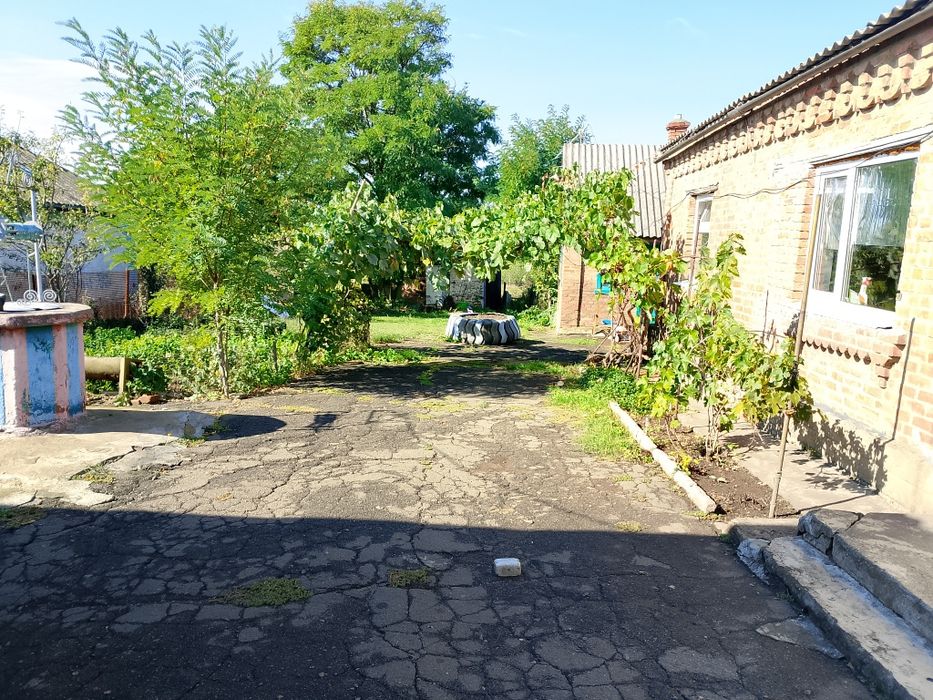Продається будинок в селі Новоолександрівка