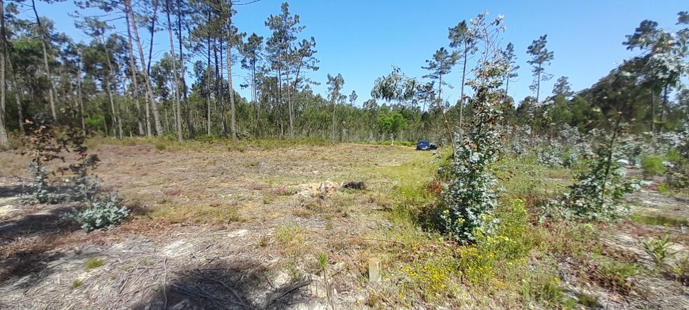 Oportunidade única de um ótimo investimento, Terreno rústico com 800m2