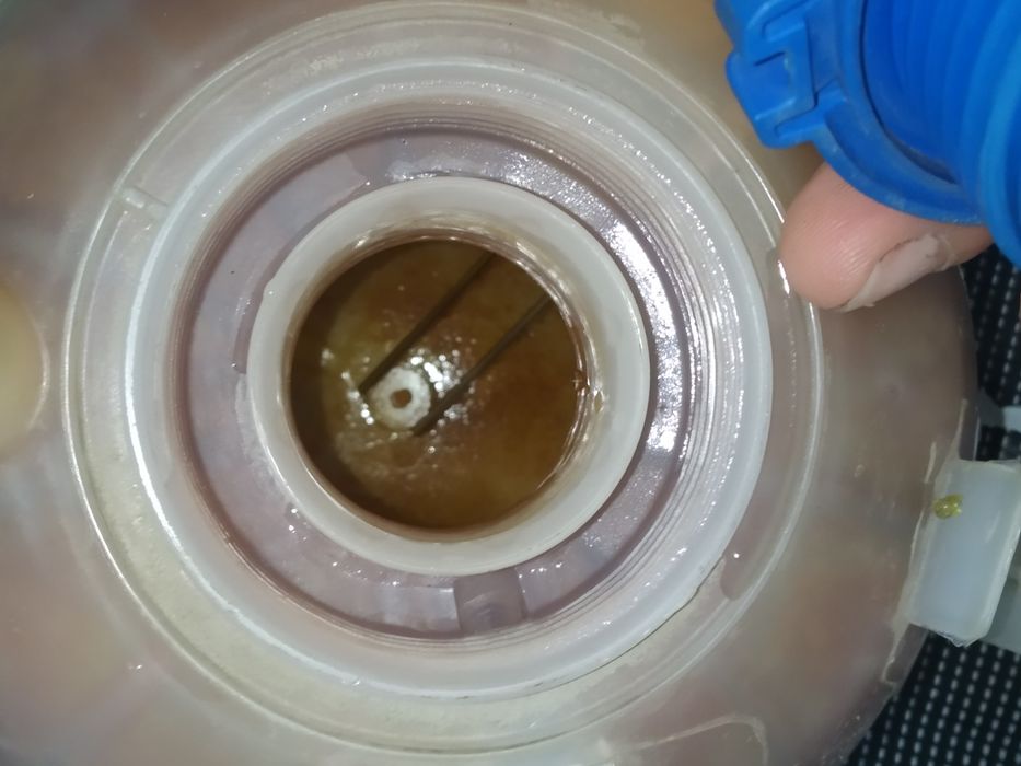 Расширительный бачок, для Volkswagen Passat B5 · Рестайлинг, 2000-2005