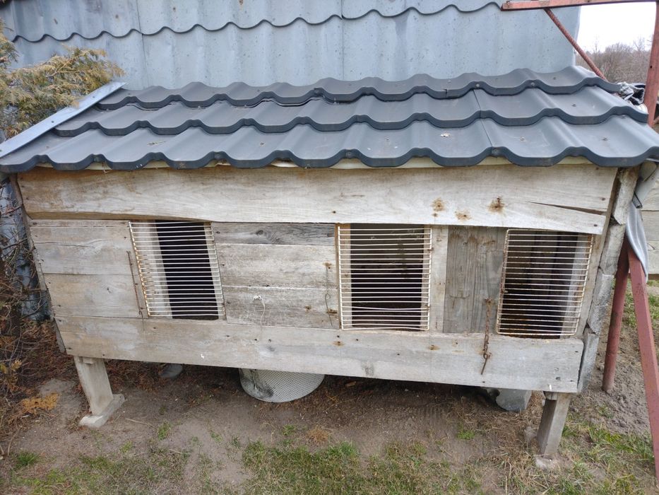 Klatka dla królików