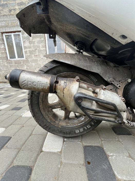 Benelli 491 бенеллі