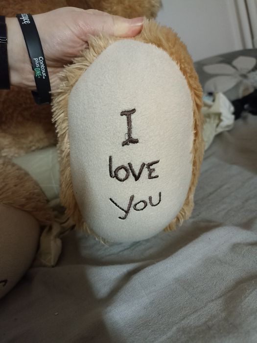 Duży miś szuka domu