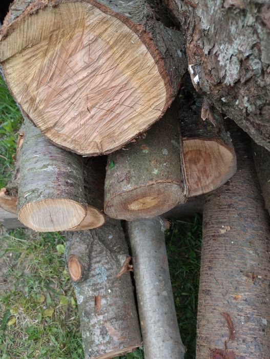 Drewno owocowe do wędzenia.