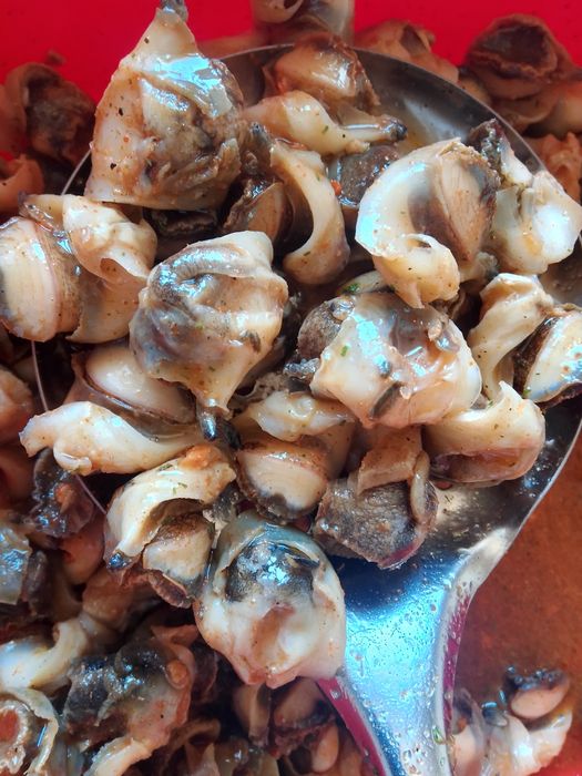 Рапани мариновані 1300грн 1 кг