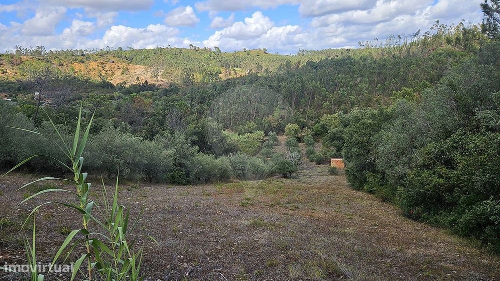 Terreno  para venda
