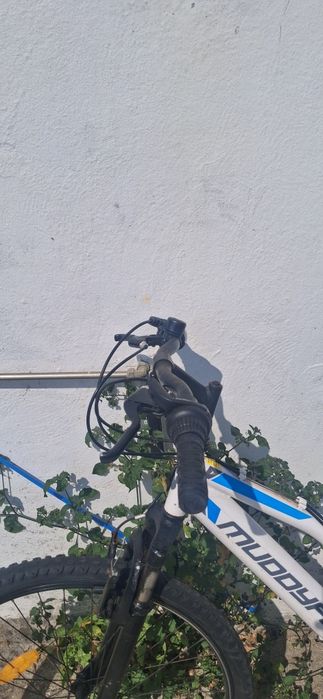 Bicicleta de monte