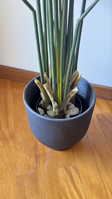 Planta artificiais Strelitzia Nicolai 167cm + Vaso