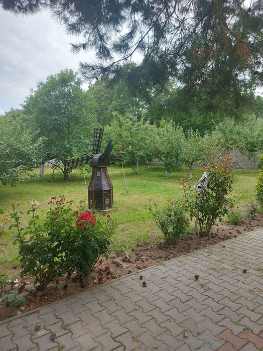 Pokoje do wynajęcia - Agroturystyka Dąbrowa
