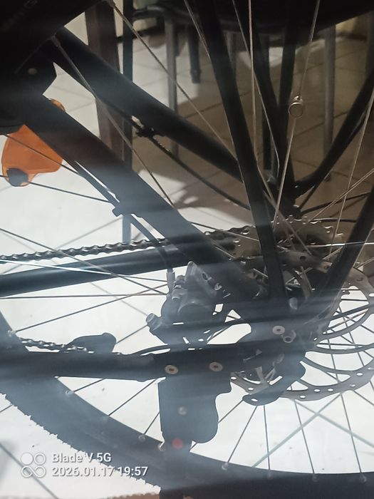 Rower elektryczne Roadster Riese & Müller