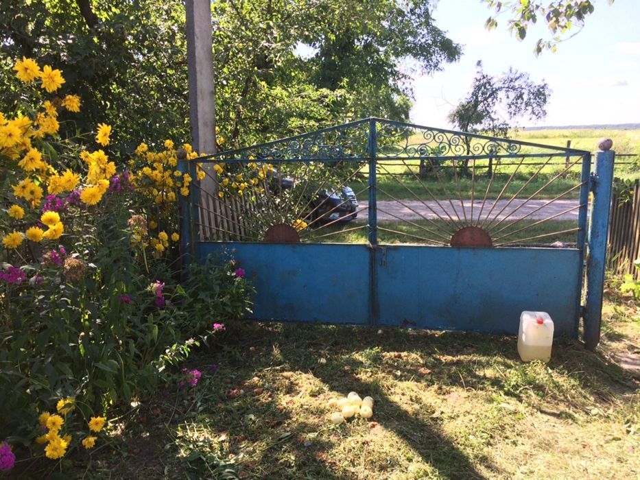 Продам будинок з приватиз. земельною ділянкою ( 25 соток землі)