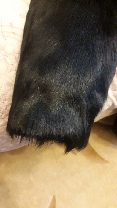 Шубка з козлика .