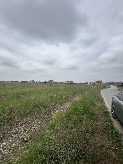Вороців. Перша лінія. Осг. Біля лісу