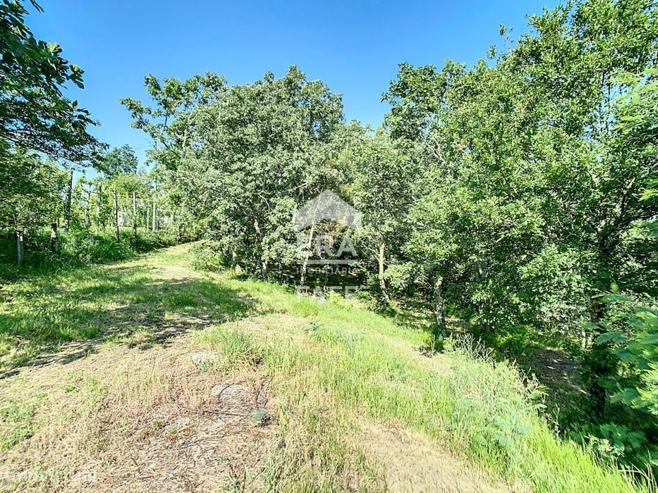 Terreno em Revelhe - Fafe