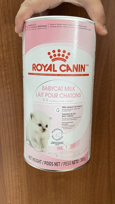 Leite gato bebé Royal Canin