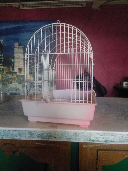 клетки для  хомячков, поводки, шлея, ошейник для собак, кота