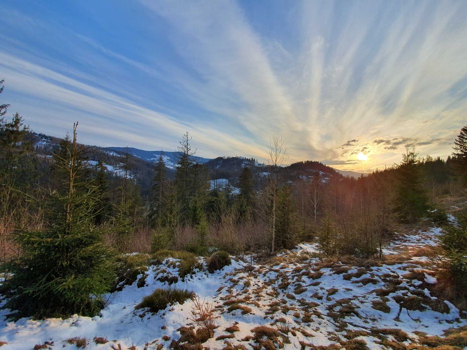 Продам Землю Карпаты Косовский район Ивано-Франковска область
