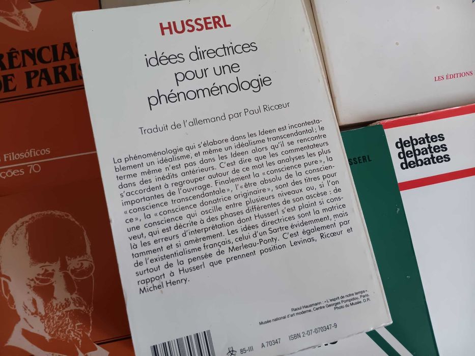 Husserl e Merleau-Ponty Livros Desde 5€