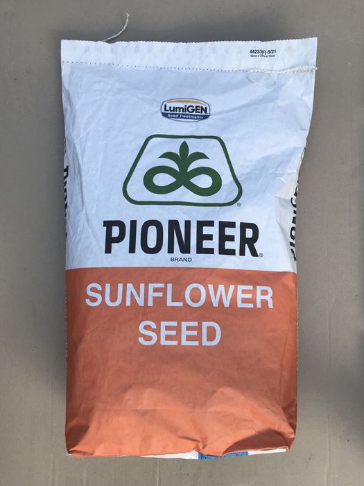 Соняшник. Насіння