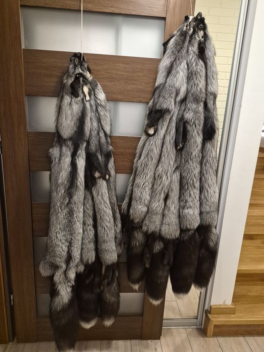 Skóry z lisa srebrnego