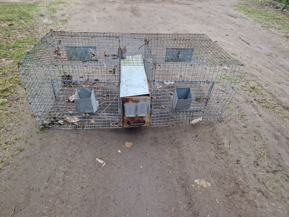 Klatka hodowlana dla przepiórki  woliera szynszyli szczura myszoskoczk