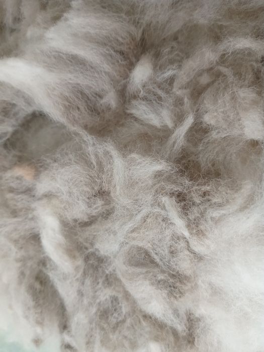 Wełna z alpak- różne kolory