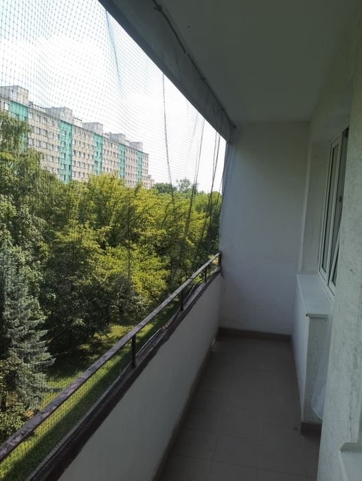 Zdjęcie 8