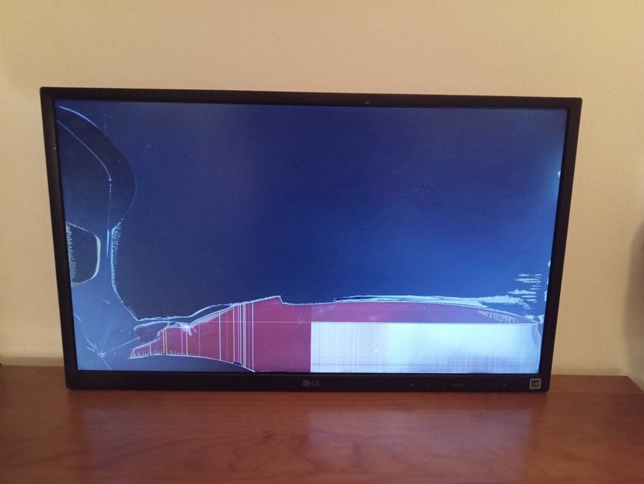 Monitor LG LED IPS 24 polegadas - 24 BK550Y-B BL MU GA ( danificado )