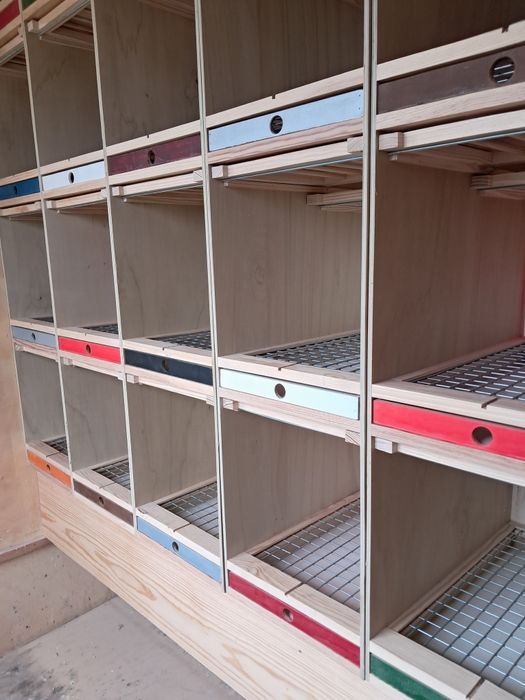 Casulos à medida para pombos