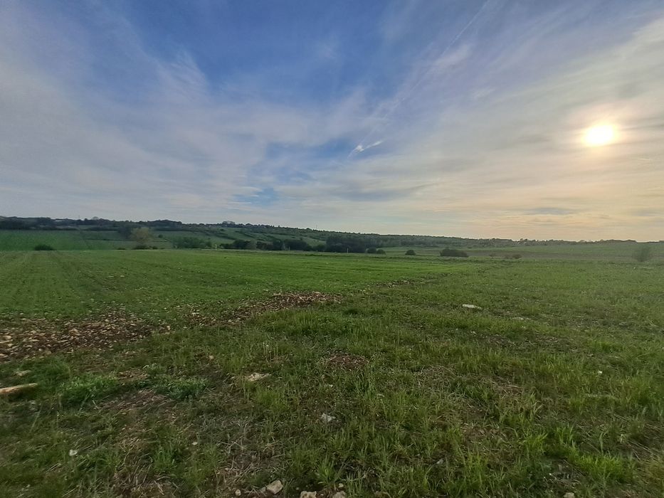 Działki na sprzedaż Sadowie