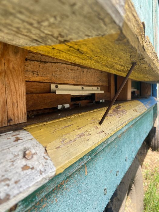 Пчеловодческий Павильён