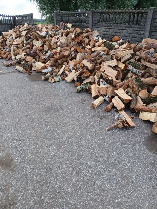 Drzewo opałowe rąbane lub w pieńkach