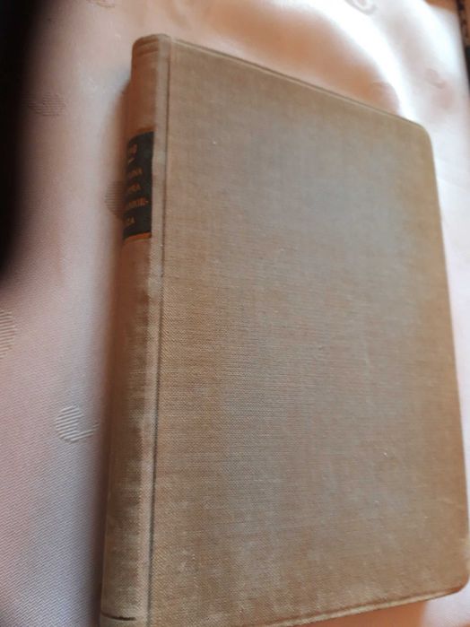 Fortuna Kasjera Śpiewankiewicza -A. Strug -  W-wa1928, pierwodruk cudo