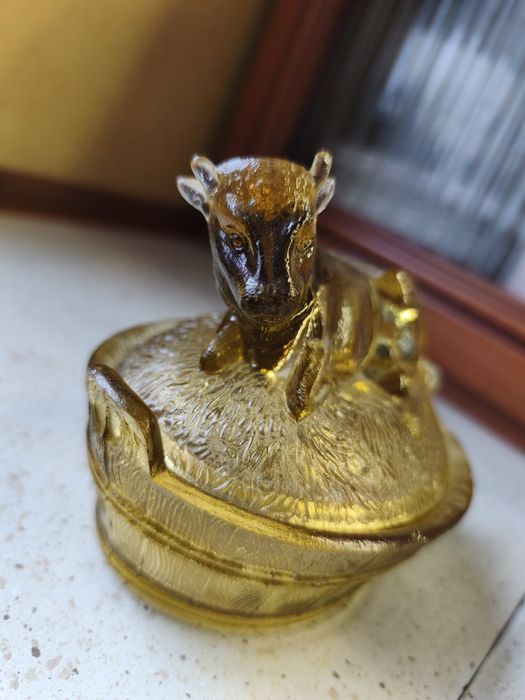 Krowa maselnica HSG Ząbkowice