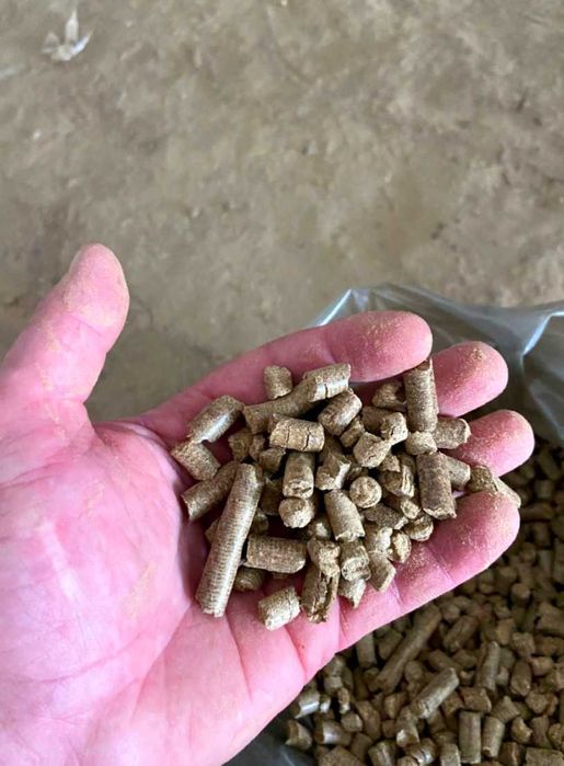 Вугілля, брикети, пелети контроль якості 100%