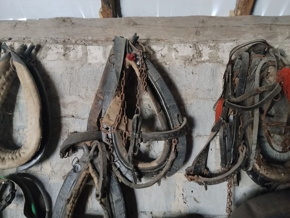 Sprzedam 4 zestawy do ubrania konia