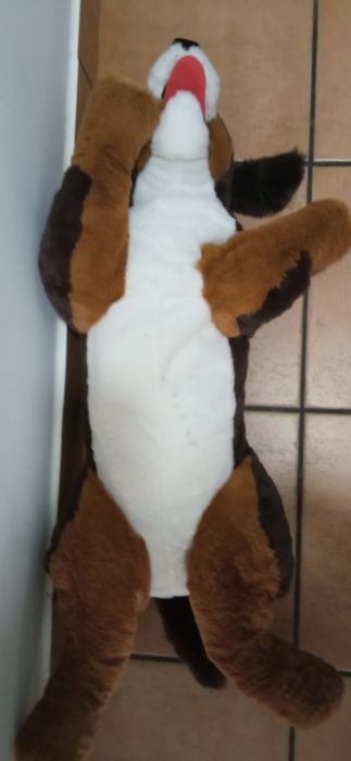 Dog plush toy.64730221302913124