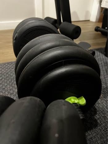 Halteres 40Kg + barra W + barra reta