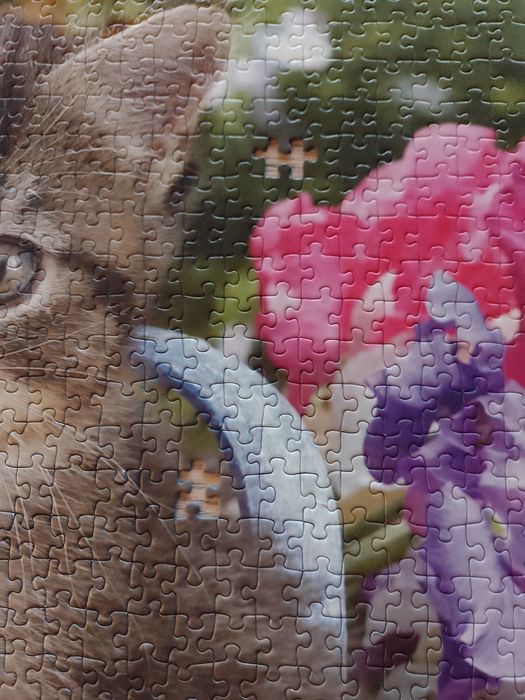 Puzzle 2x1000 sztuk Trefl