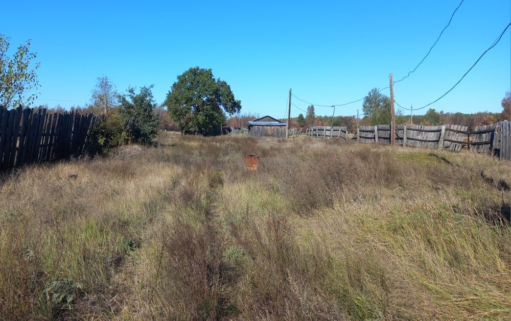 Продам Дом в с.Лошаков Гута, участок 25сот. Киевское море