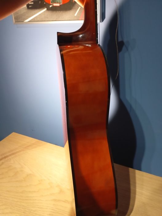 Guitarra Stagg C542