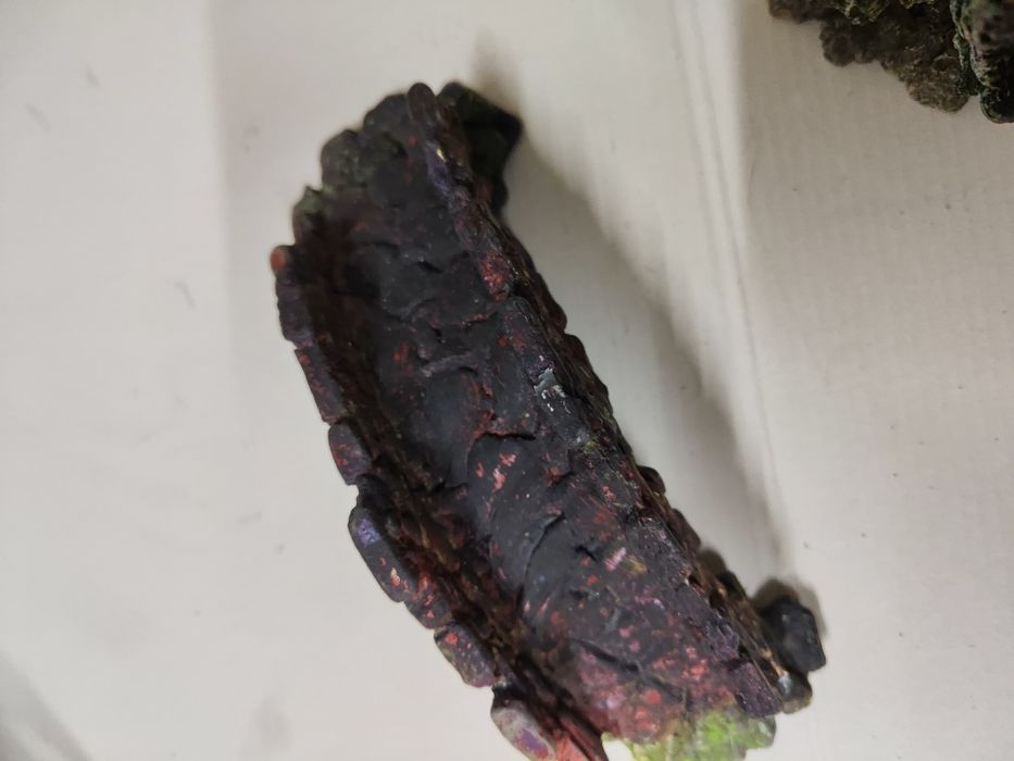 Decorações várias aquário