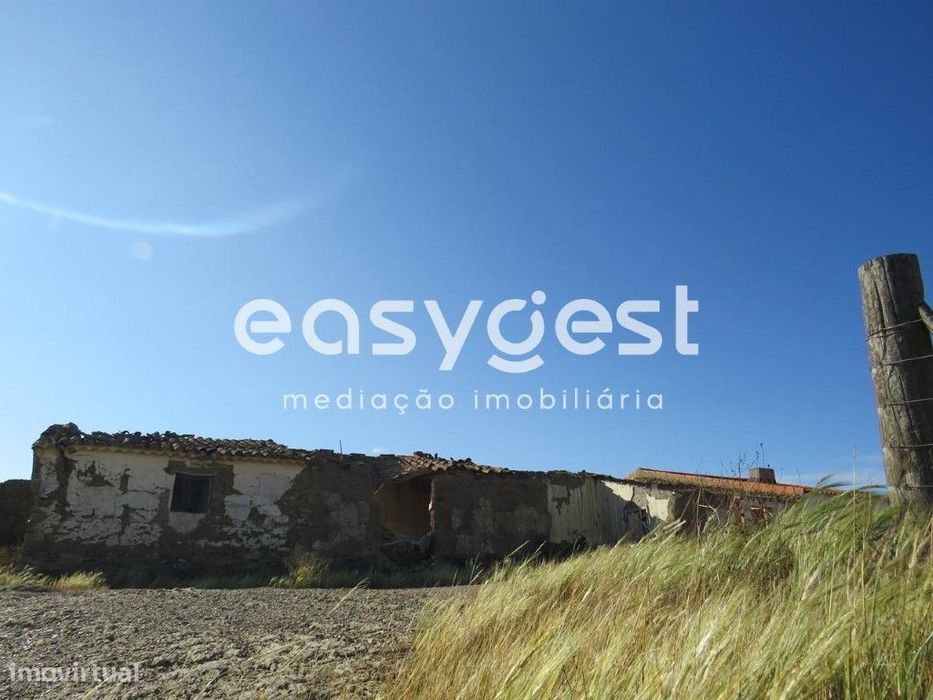 Monte em ruinas com 14 hectares em Entradas concelho Castro Verde