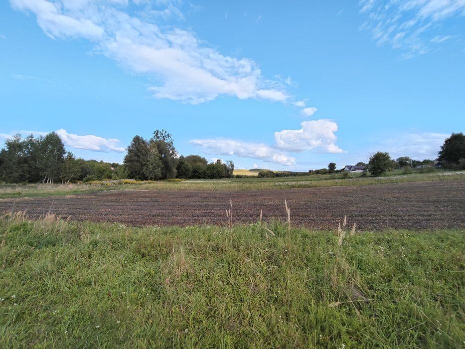 Продам земельну ділянку