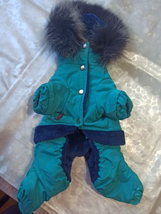 Одежда для йорика