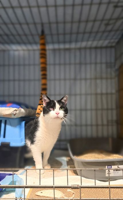 Biskup szuka domku na zawsze!