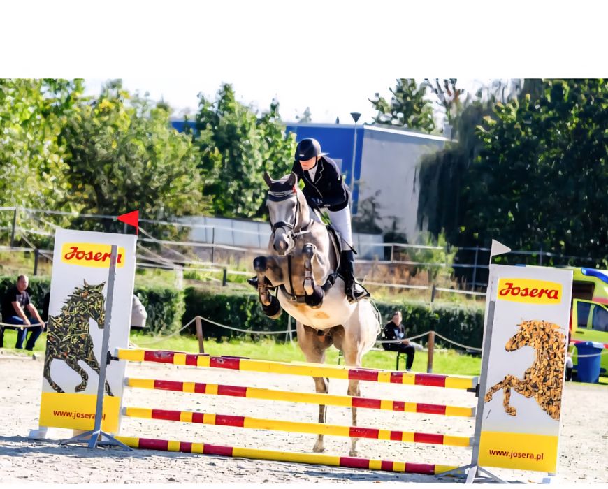 Stakkatol/Caretino wałach 7 lat z potencjałem