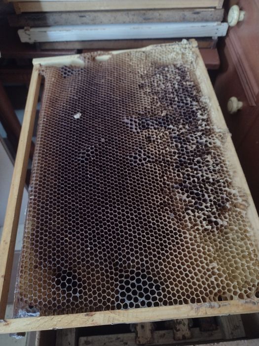 Суш  рамки   медові дадан 300