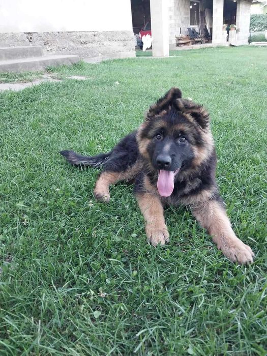 Дуже красива дівчинка